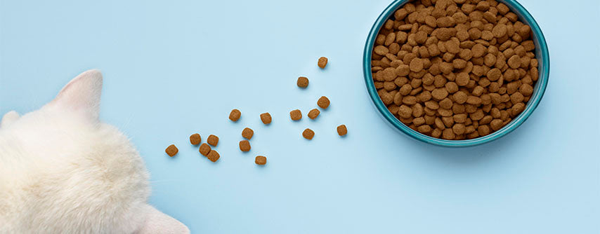 Image Title Alt Image