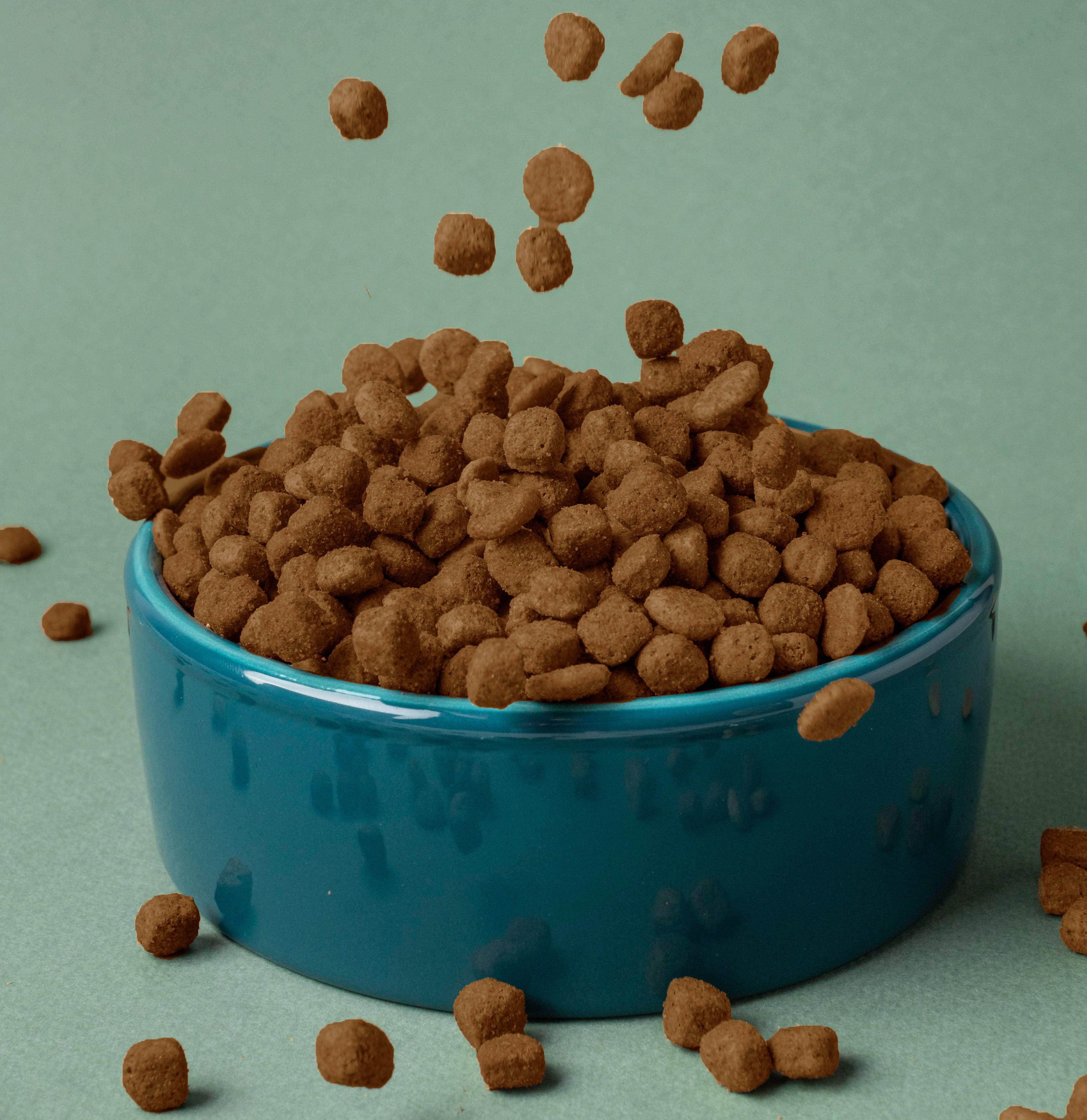 Image Title Alt Image