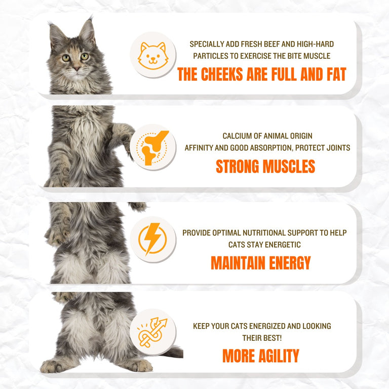 KAZANMAK SERIES - 42% PROTEIN | HIGH PROTEIN | GAIN MUSCLE