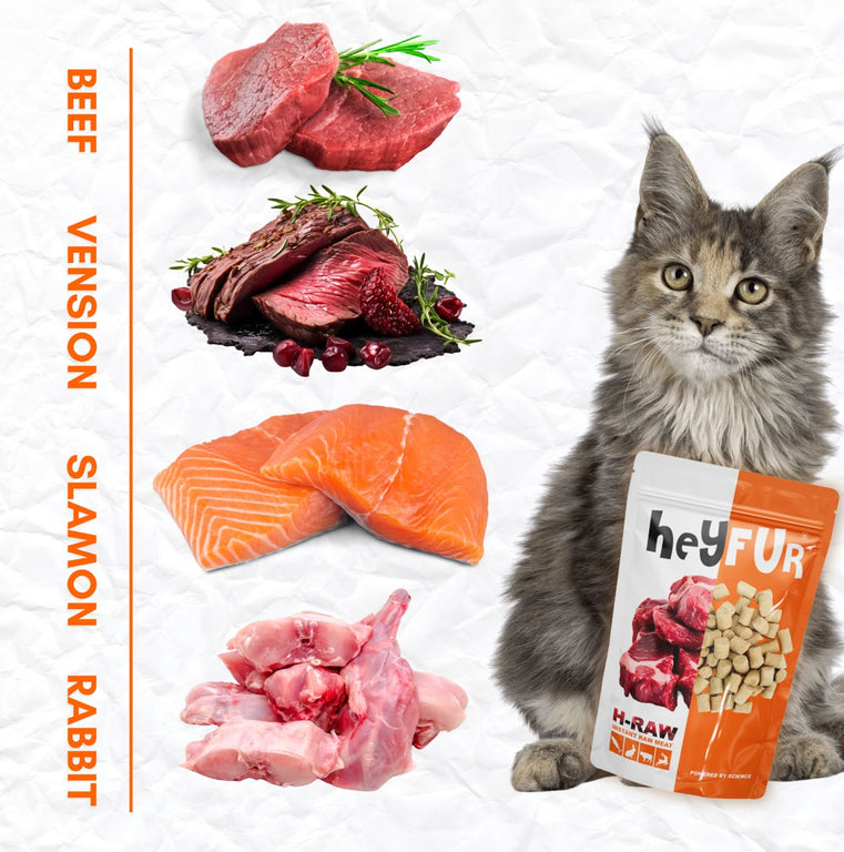 H-RAW[4 IN 1 MEAT]FUNCTIONAL FREEZE RAW MEAT [140G]