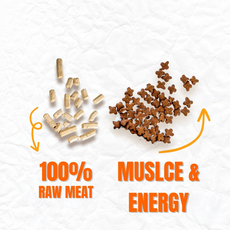 KAZANMAK SERIES - 42% PROTEIN | HIGH PROTEIN | GAIN MUSCLE